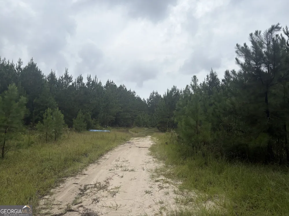 0 Jamestown Road Waycross, GA 31503