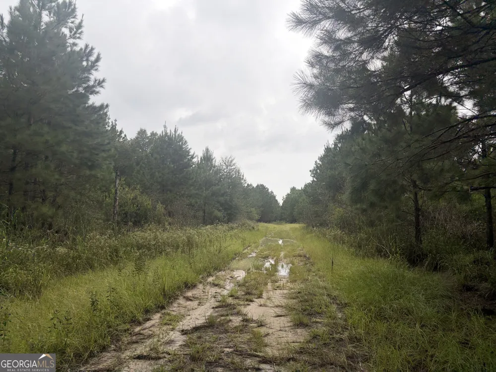 0 Jamestown Road Waycross, GA 31503