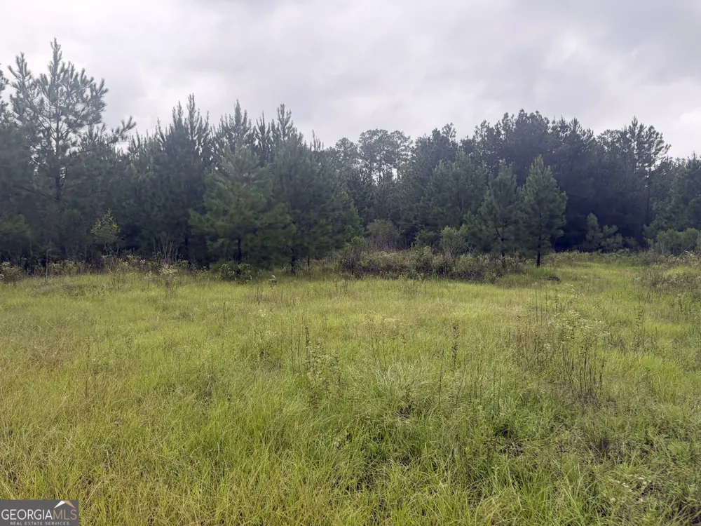 0 Jamestown Road Waycross, GA 31503