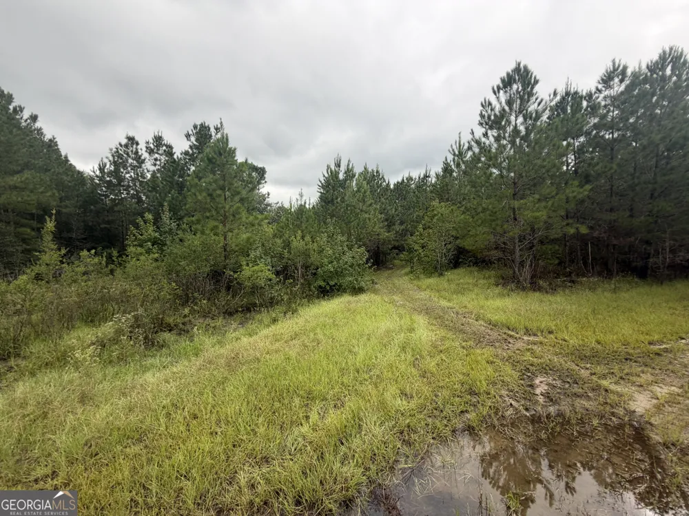 0 Jamestown Road Waycross, GA 31503