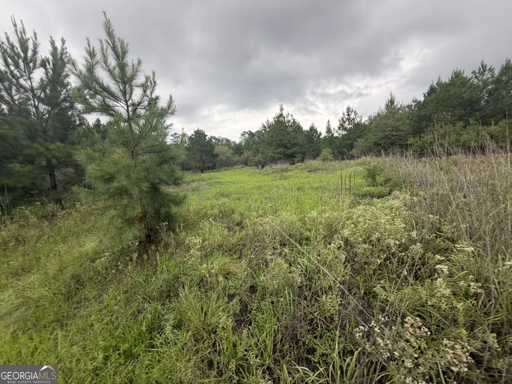 0 Jamestown Road Waycross, GA 31503