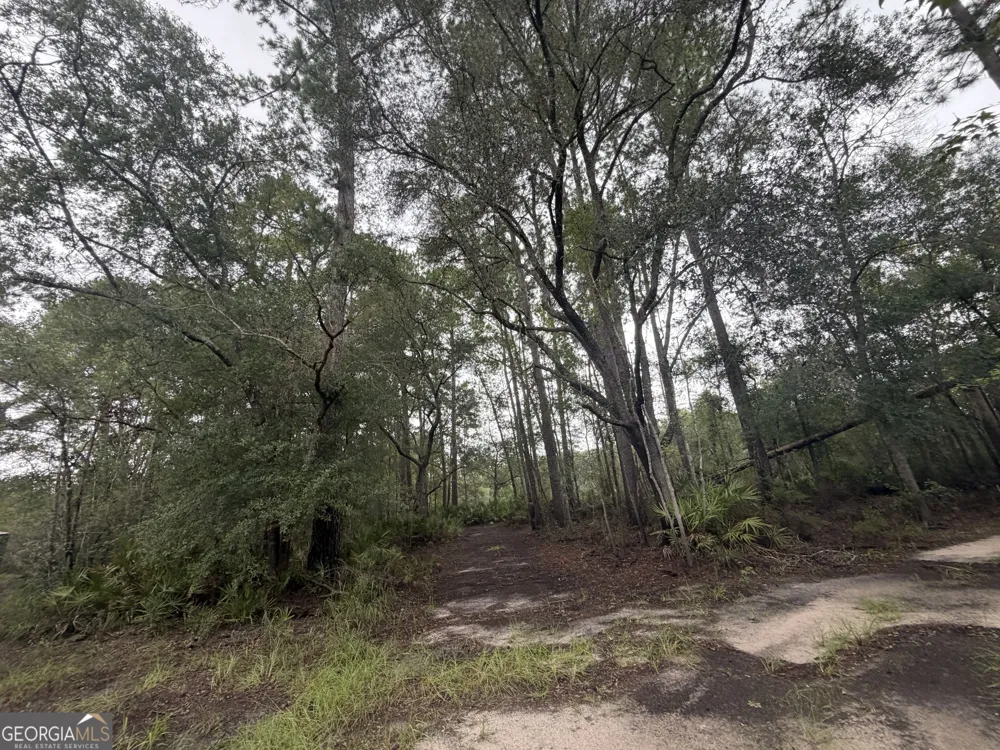0 Jamestown Road Waycross, GA 31503