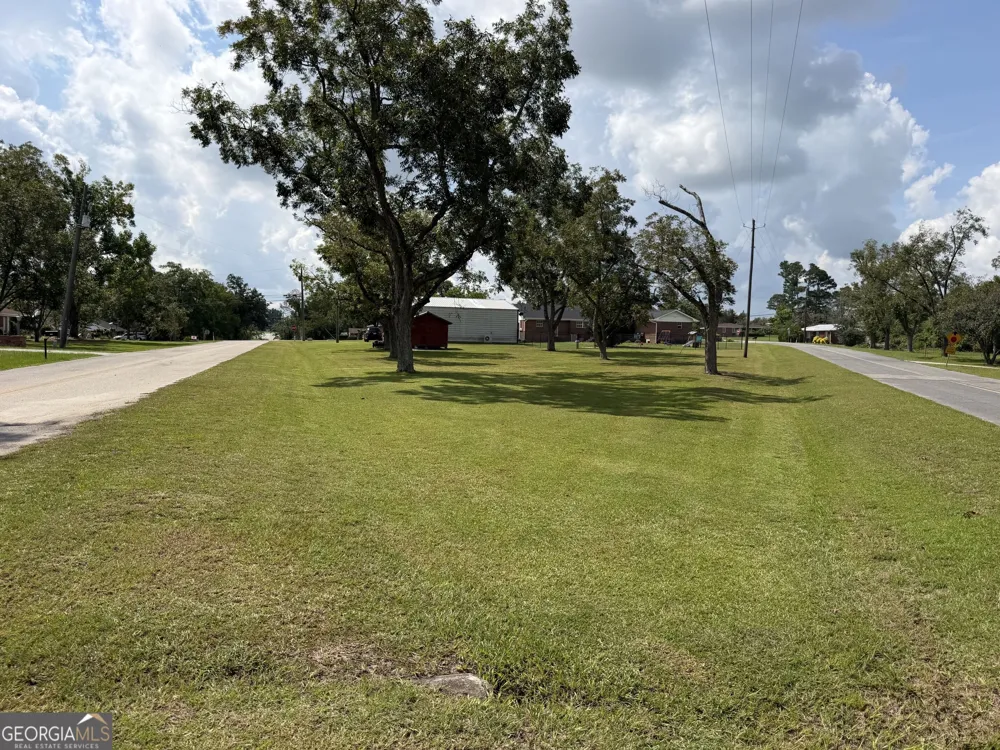 438 W Oglethorpe AVE Lyons, GA 30436