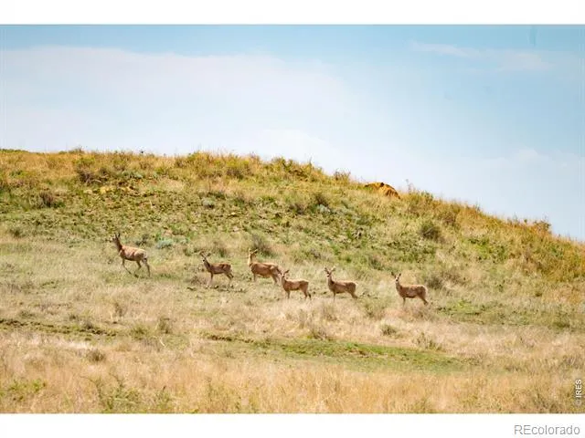 0 CR 90 Ault, CO 80610