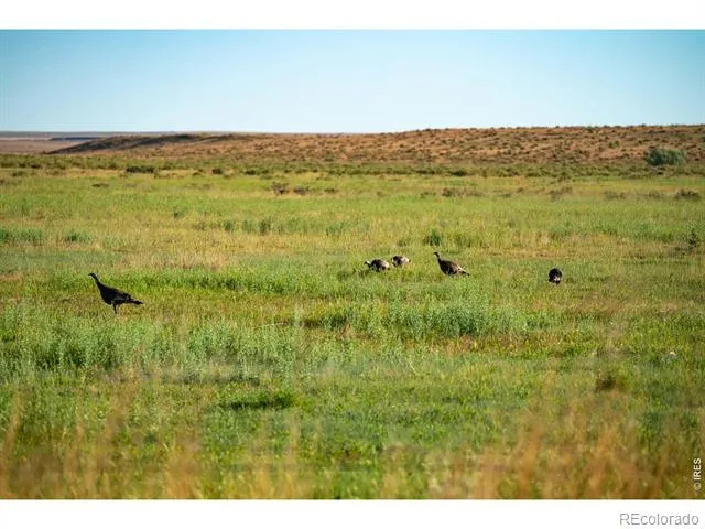 0 CR 90 Ault, CO 80610