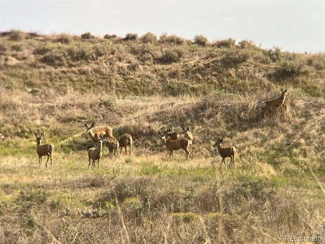 0 CR 90 Ault, CO 80610