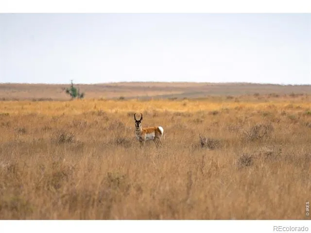 0 CR 90 Ault, CO 80610