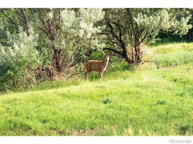 0 CR 90 Ault, CO 80610