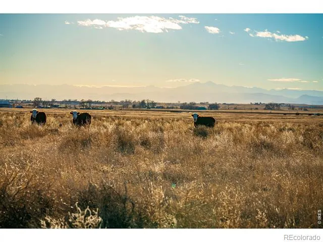 0 CR 90 Ault, CO 80610