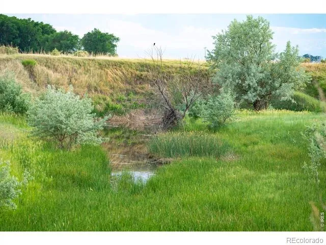 0 CR 90 Ault, CO 80610