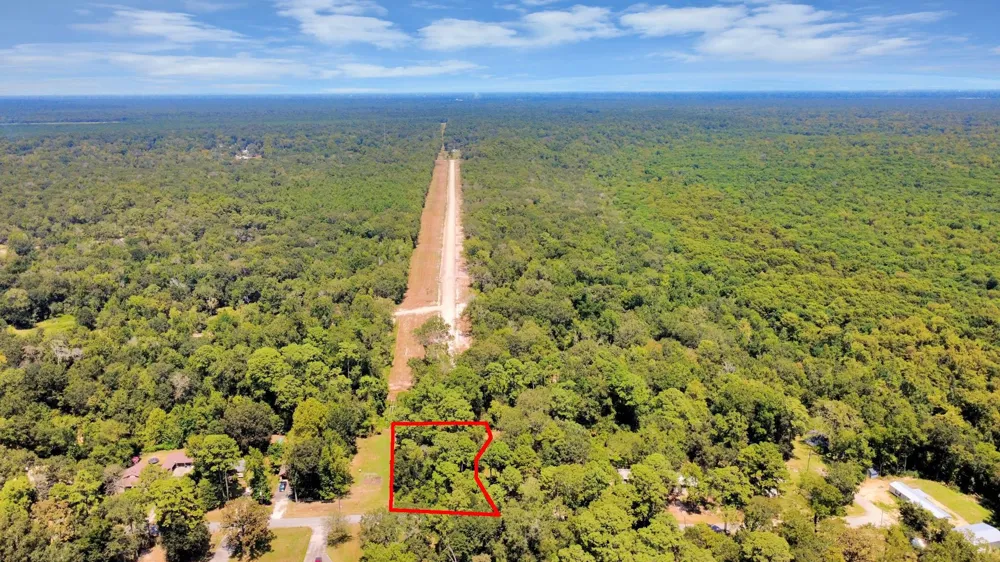 141 County Road 431 Dayton, TX 77535
