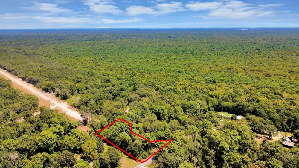 141 County Road 431 Dayton, TX 77535