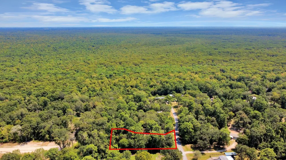 141 County Road 431 Dayton, TX 77535