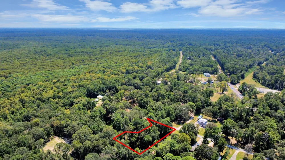 141 County Road 431 Dayton, TX 77535