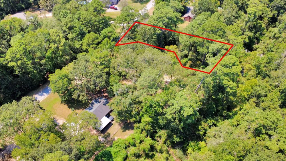 141 County Road 431 Dayton, TX 77535