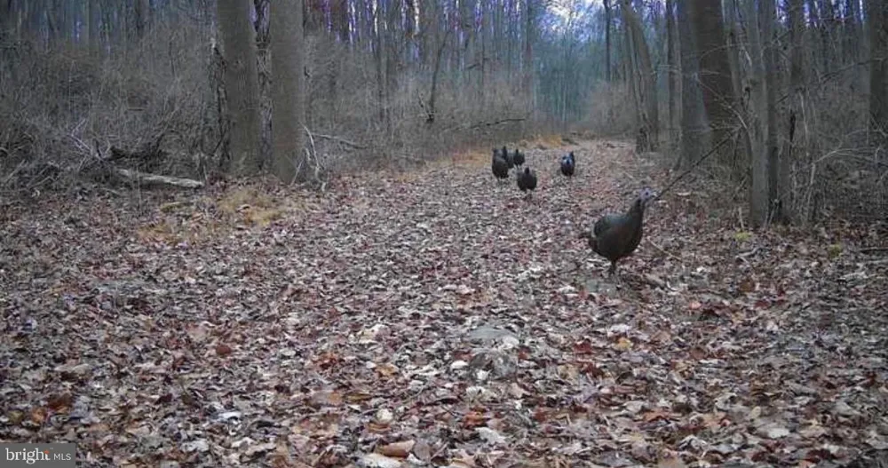 1455 LAUREL DRIVE Newmanstown, PA 17073