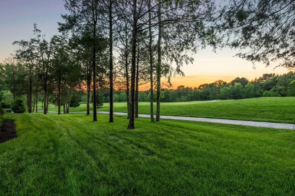 7565 Whiskey Rd College Grove, TN 37046