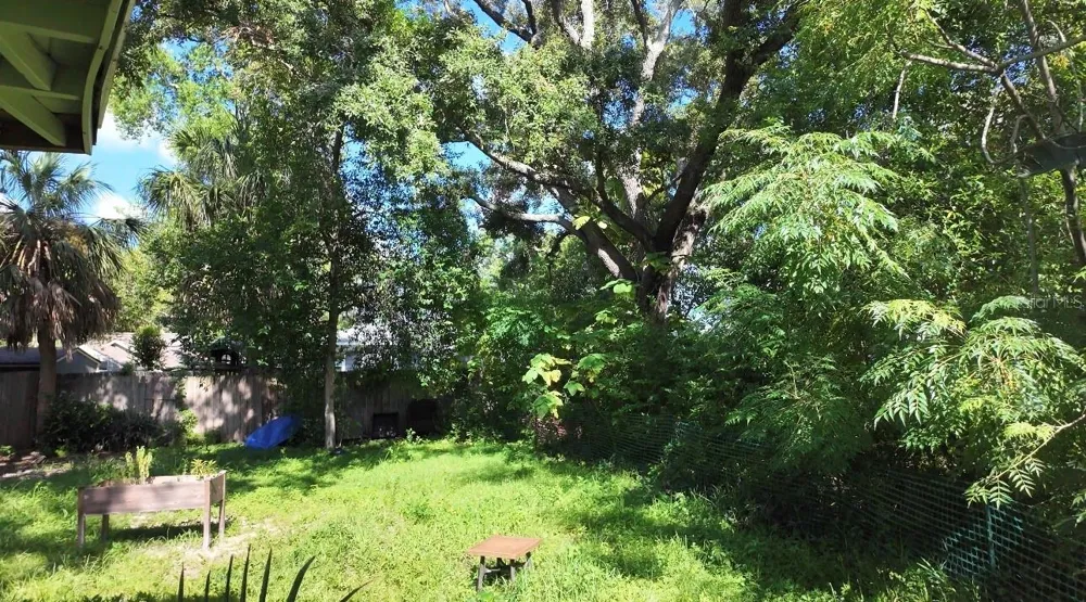 1121 ORANGE AVENUE Dunedin, FL 34698