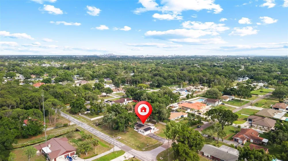 8212 SUNNY VALE PLACE Tampa, FL 33615