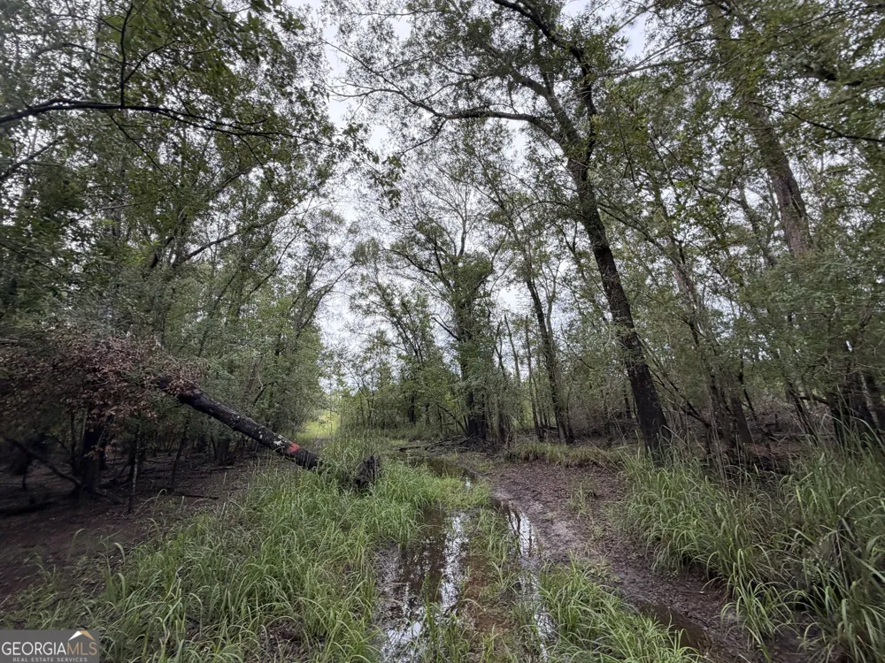 0 South River Road Waycross, GA 31503