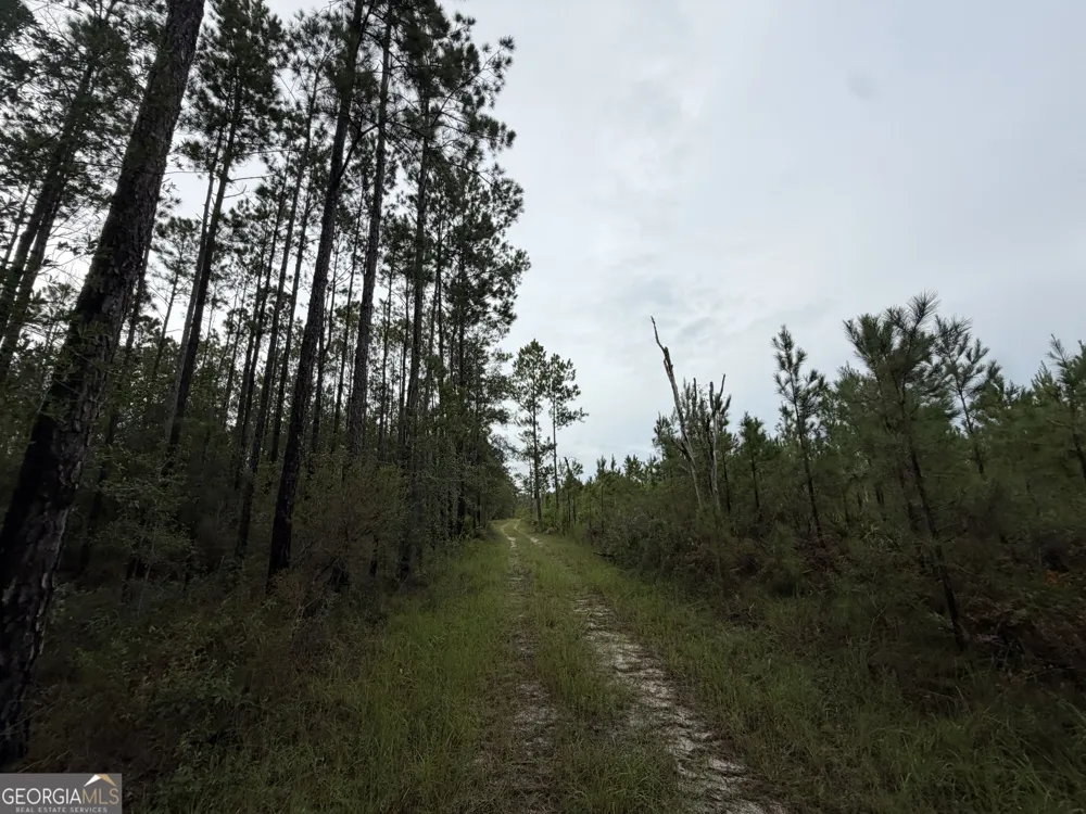 0 South River Road Waycross, GA 31503