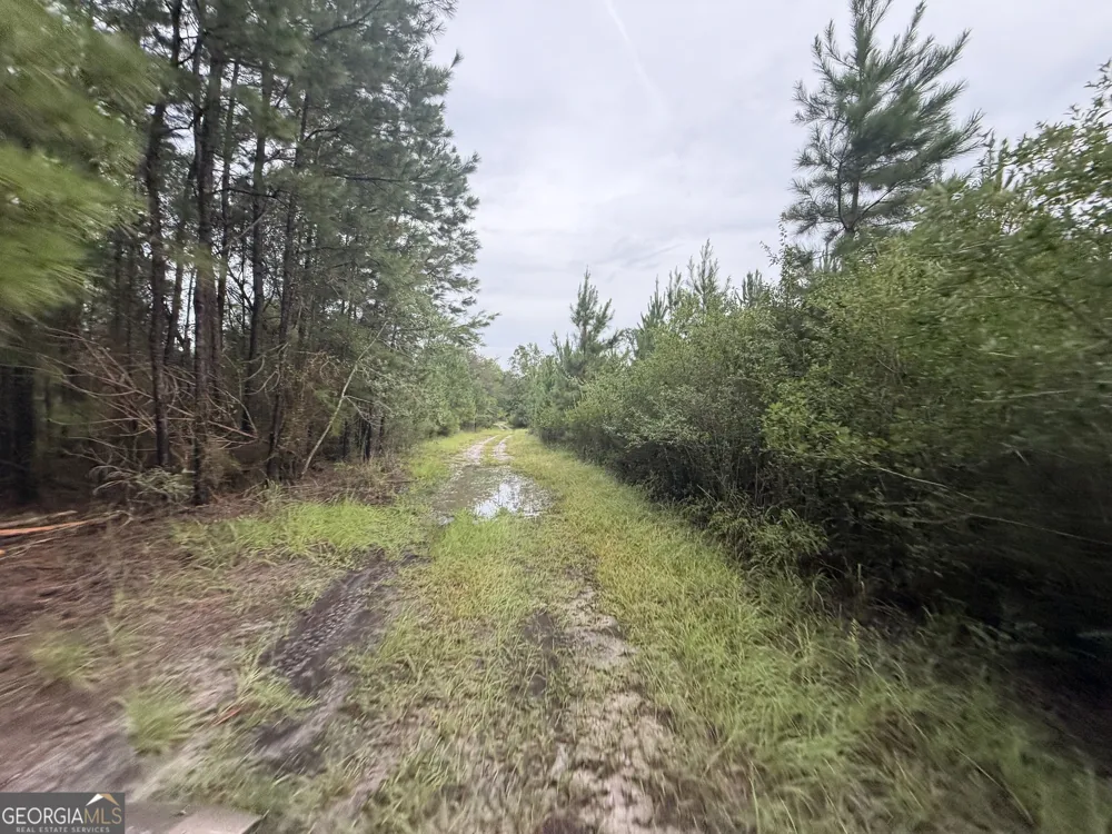 0 South River Road Waycross, GA 31503