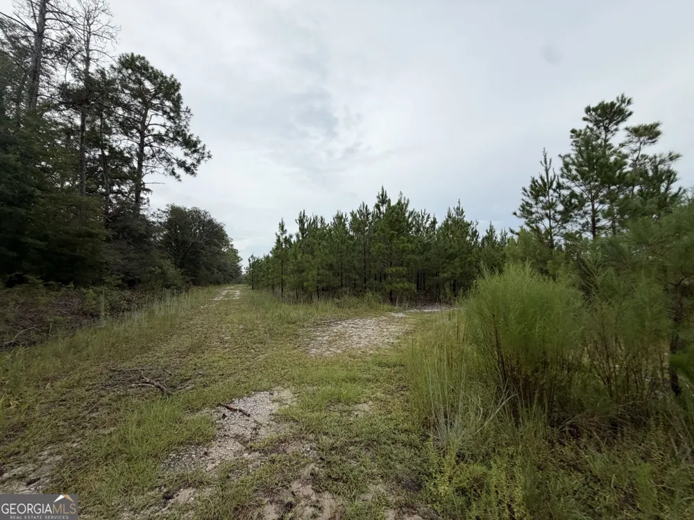 0 South River Road Waycross, GA 31503