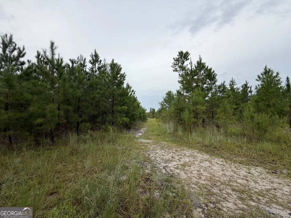 0 South River Road Waycross, GA 31503
