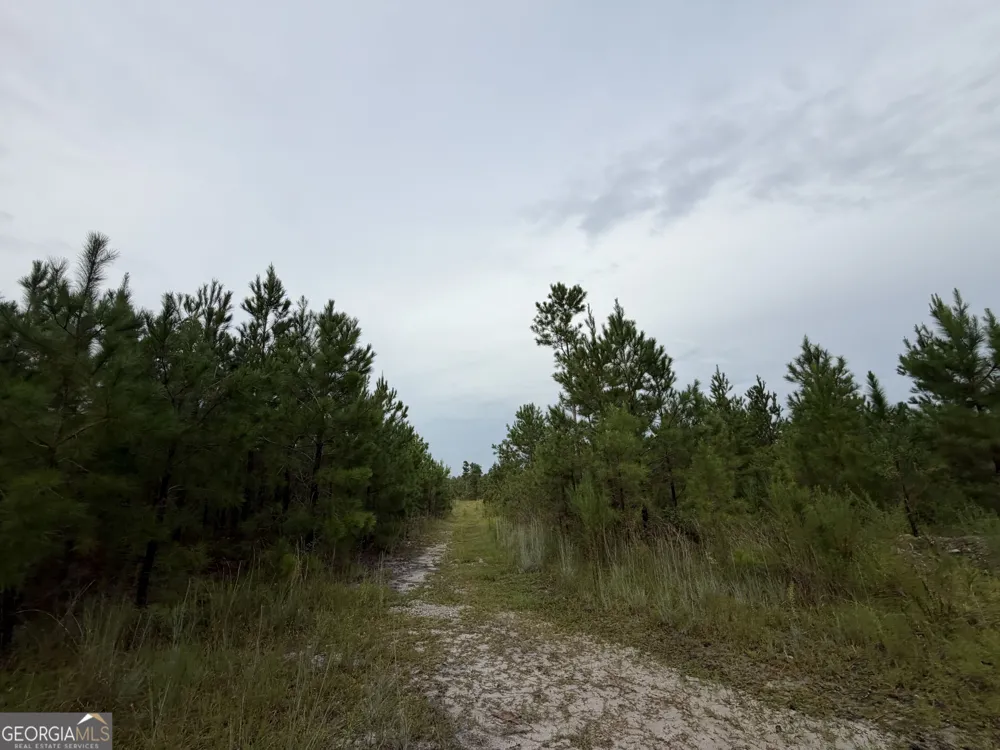 0 South River Road Waycross, GA 31503