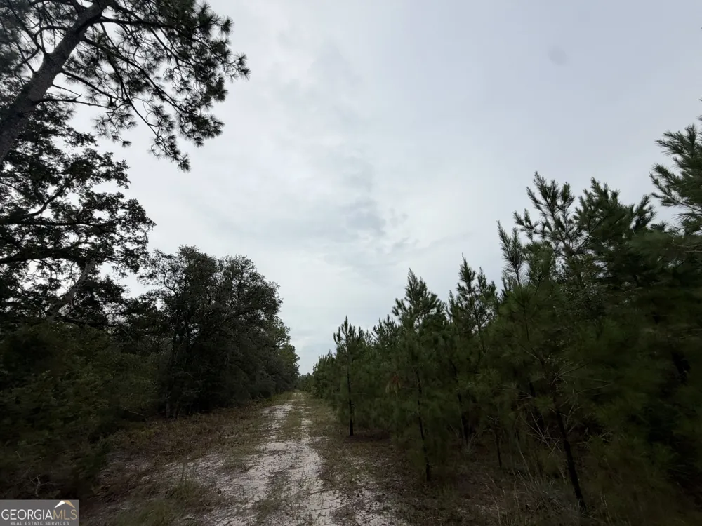 0 South River Road Waycross, GA 31503