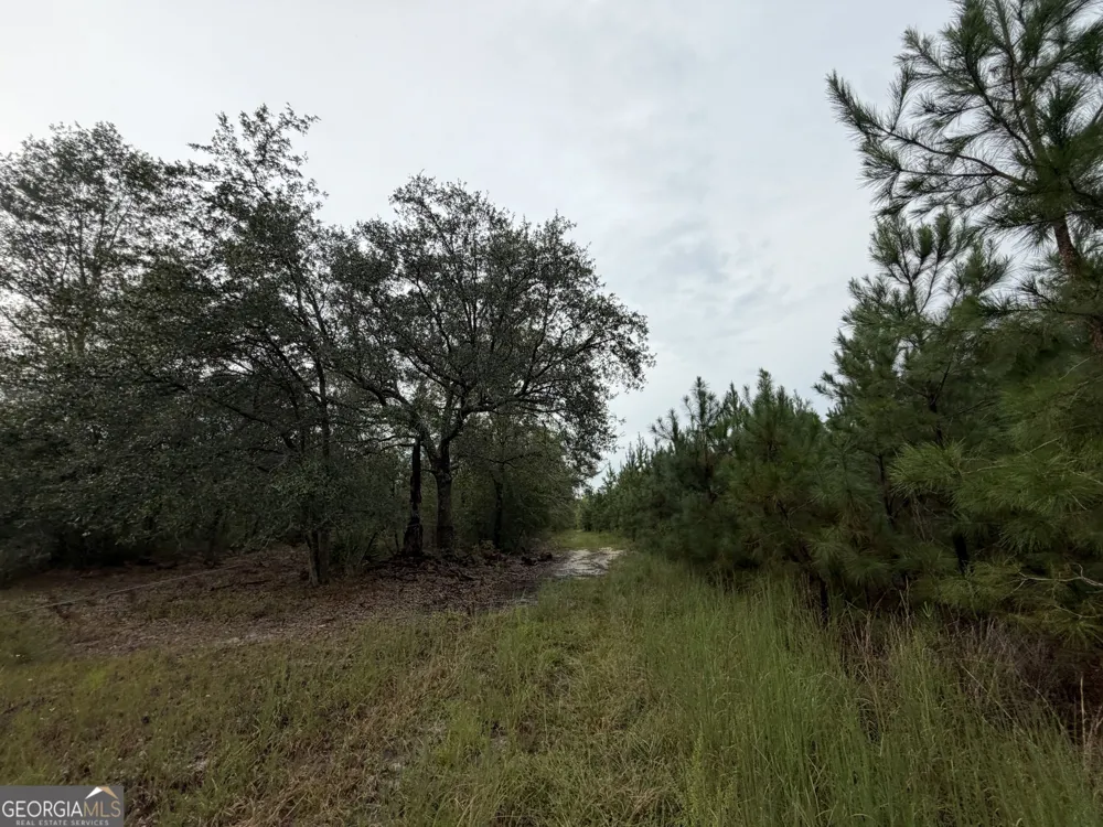 0 South River Road Waycross, GA 31503