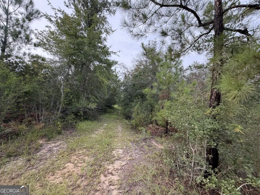 0 South River Road Waycross, GA 31503