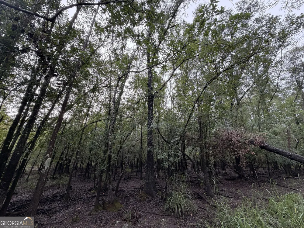0 South River Road Waycross, GA 31503