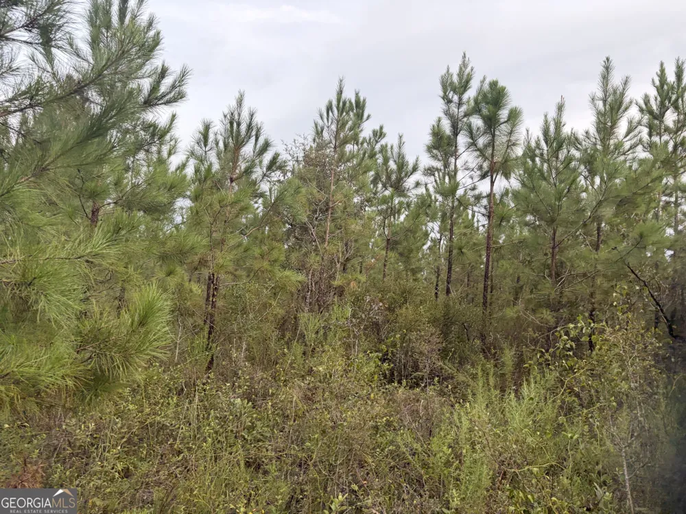 0 South River Road Waycross, GA 31503