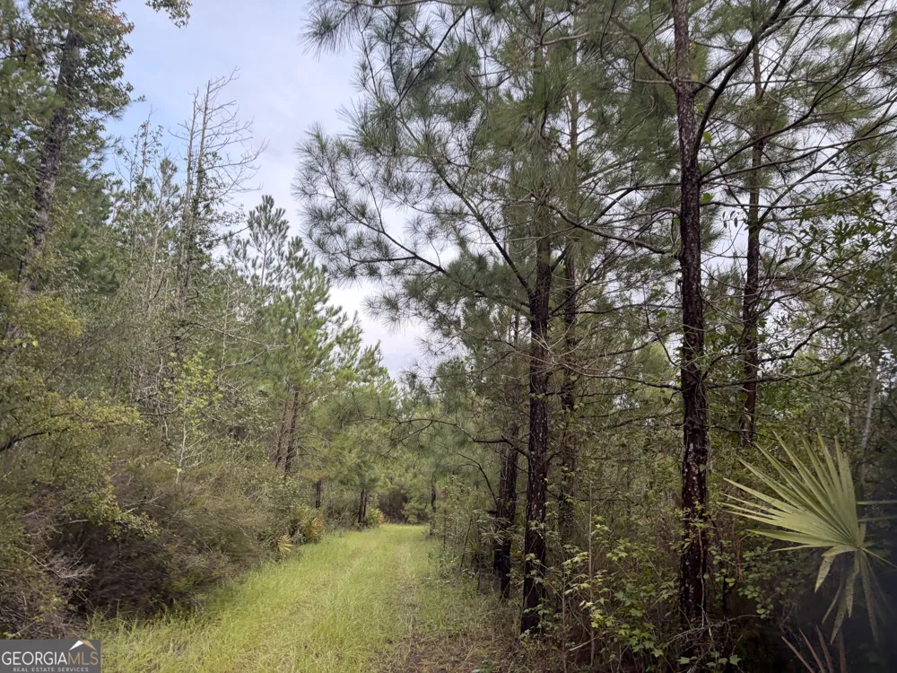 0 South River Road Waycross, GA 31503