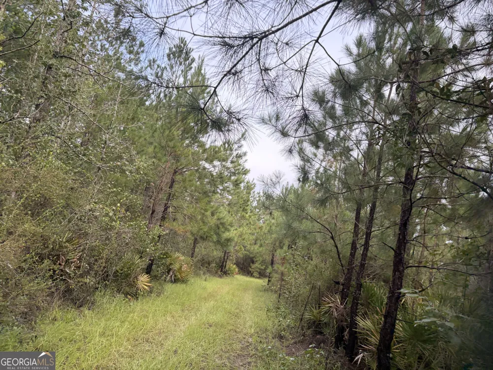 0 South River Road Waycross, GA 31503