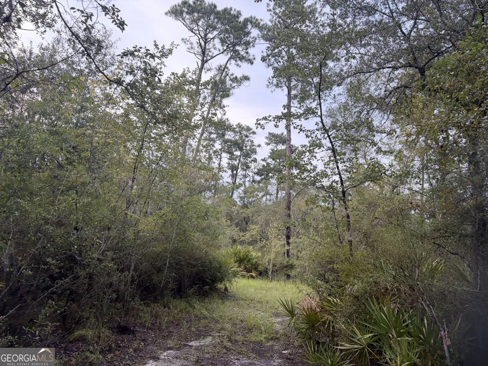 0 South River Road Waycross, GA 31503