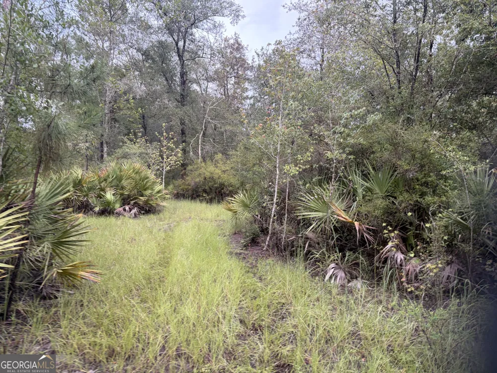 0 South River Road Waycross, GA 31503