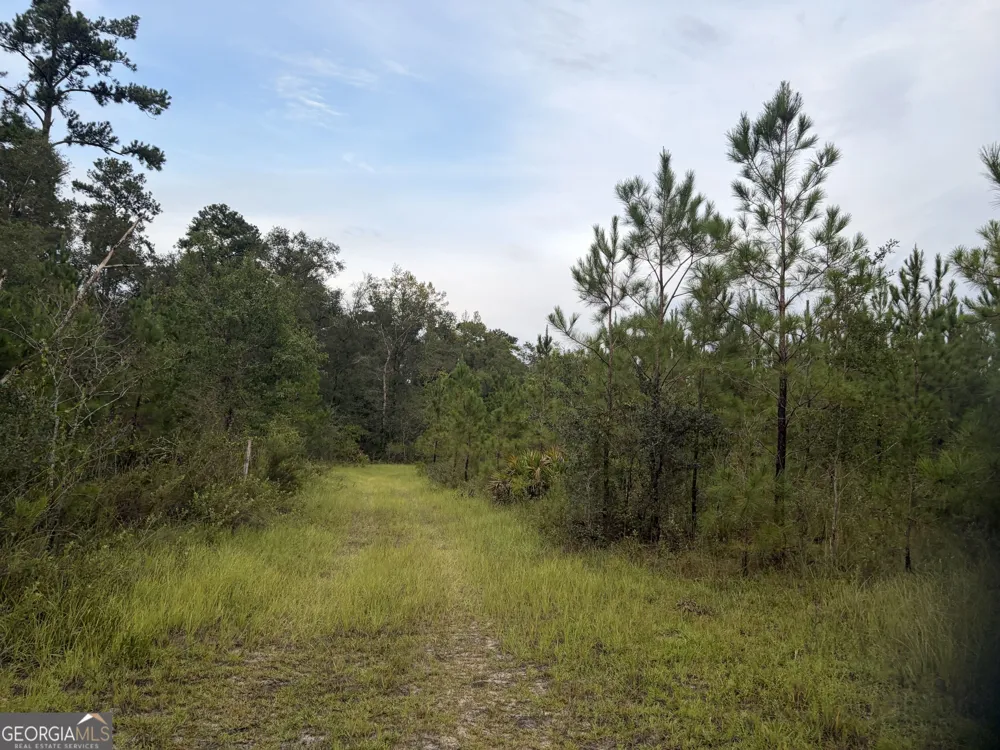 0 South River Road Waycross, GA 31503