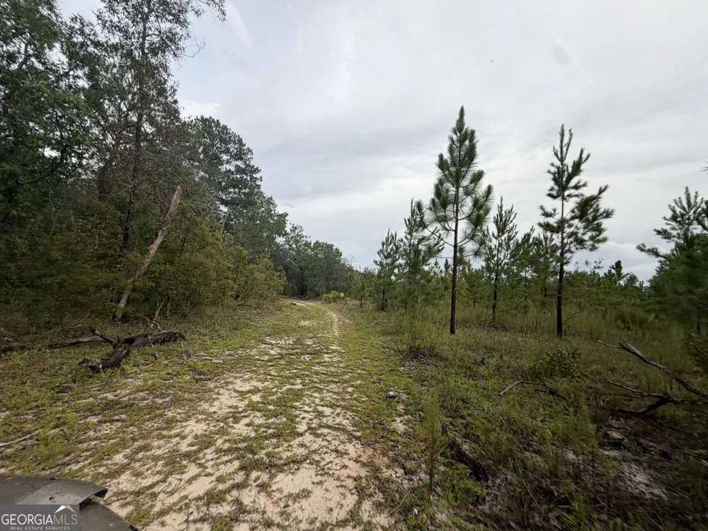0 South River Road Waycross, GA 31503