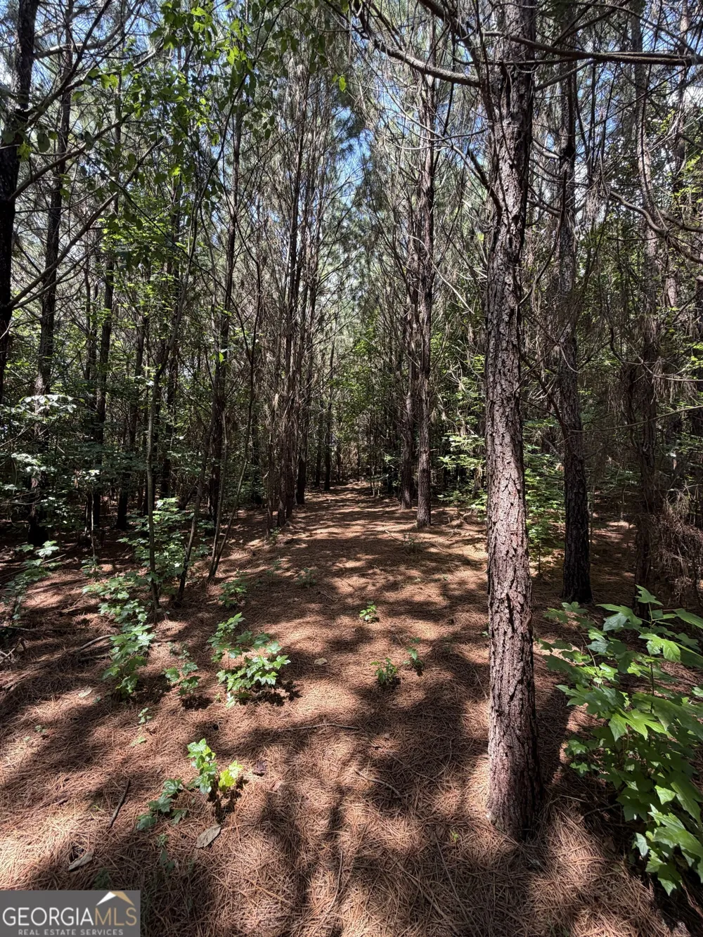 971 Bo Bo Banks RD Grantville, GA 30220