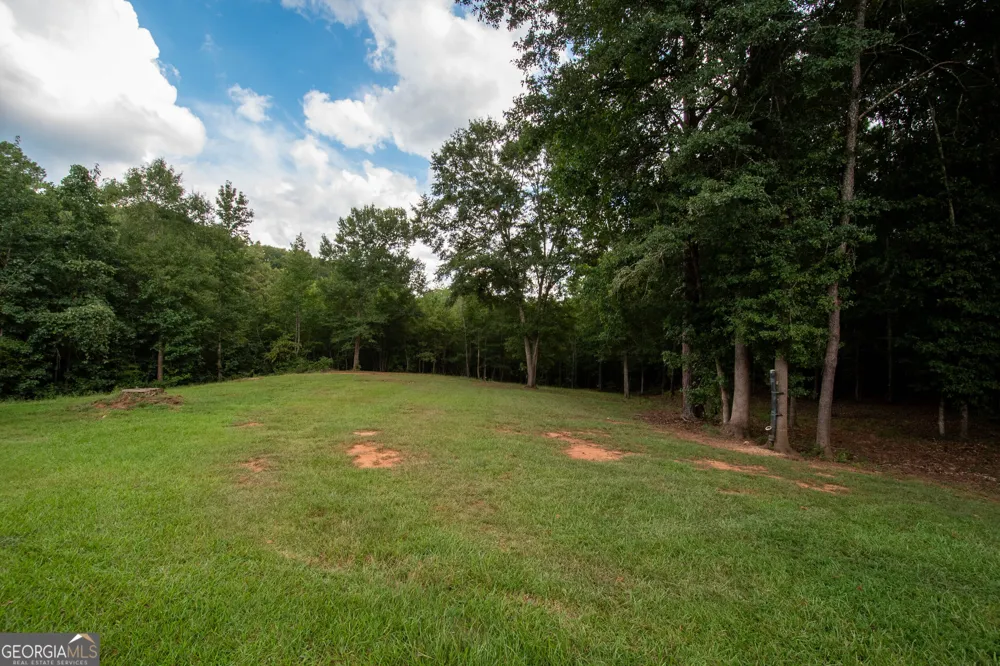 971 Bo Bo Banks RD Grantville, GA 30220