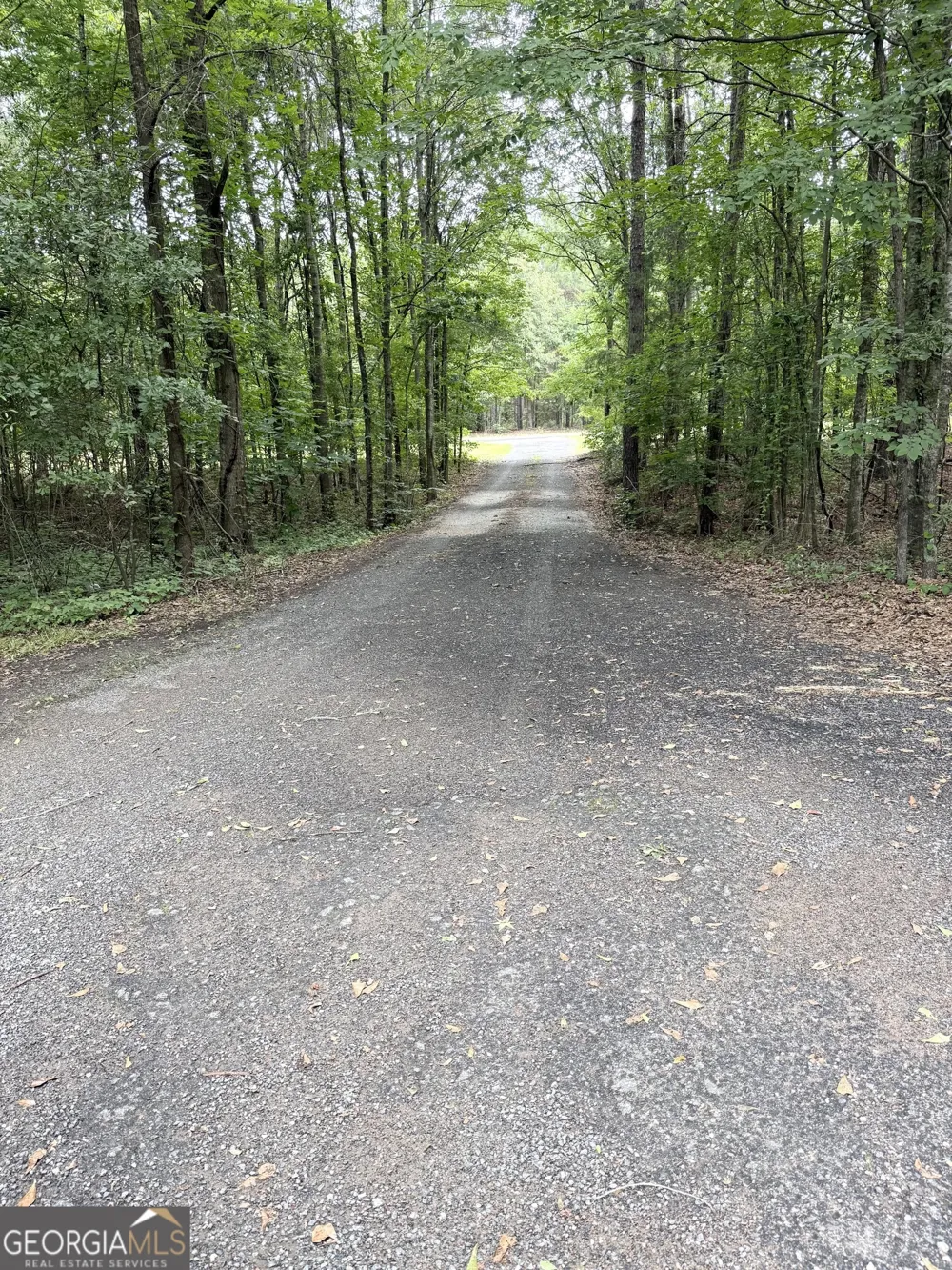 62 Melvin Harris RD Manchester, GA 31816