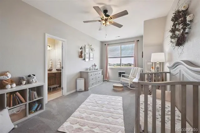 724 Imboden Road Watkins, CO 80137