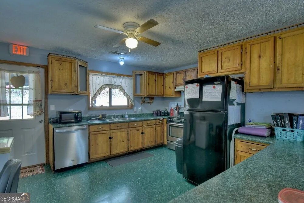 160 Moores RD Mineral Bluff, GA 30559