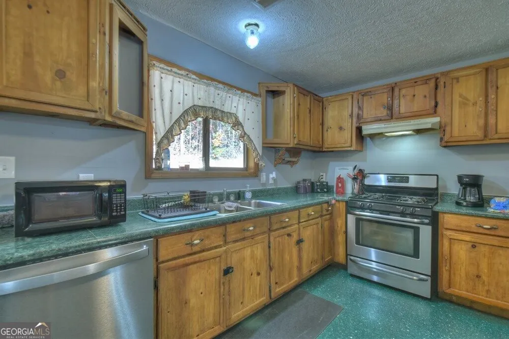 160 Moores RD Mineral Bluff, GA 30559