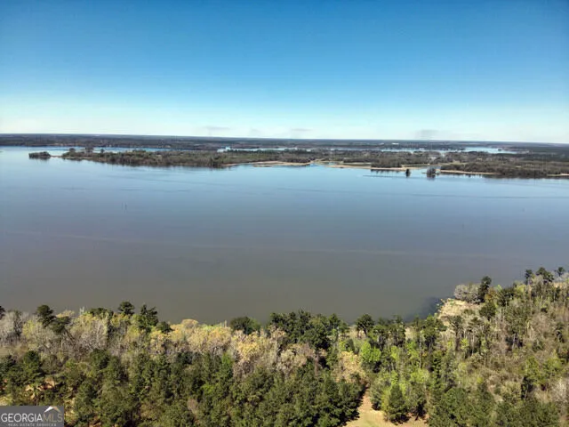TBD LOT 98 Seminole Ridge Bainbridge, GA 39819