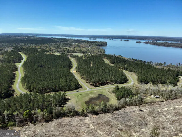 TBD LOT 98 Seminole Ridge Bainbridge, GA 39819