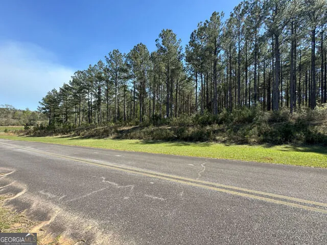 TBD LOT 98 Seminole Ridge Bainbridge, GA 39819
