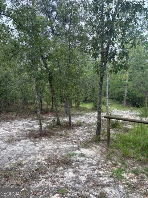 222 LAURE Collins, GA 30421